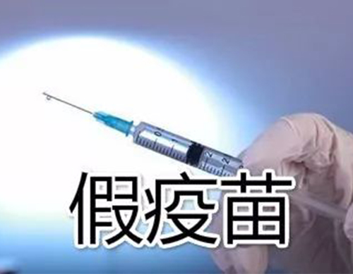 非洲豬瘟有疫苗了？假的！