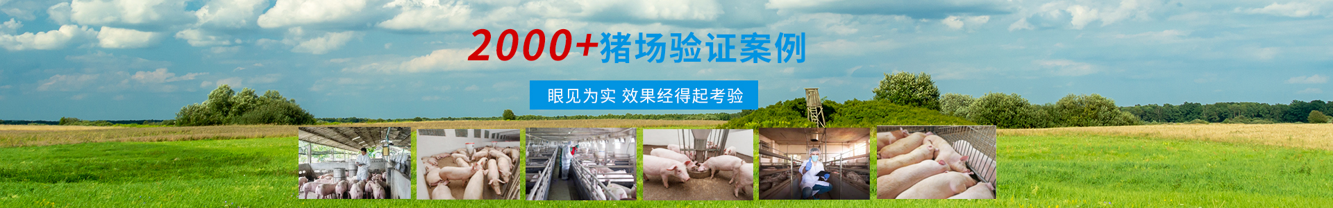 客戶服務-商丘市森澳達動物藥業(yè)有限公司