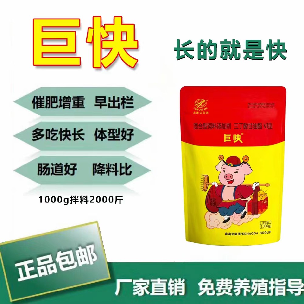 生豬如何高效催肥？